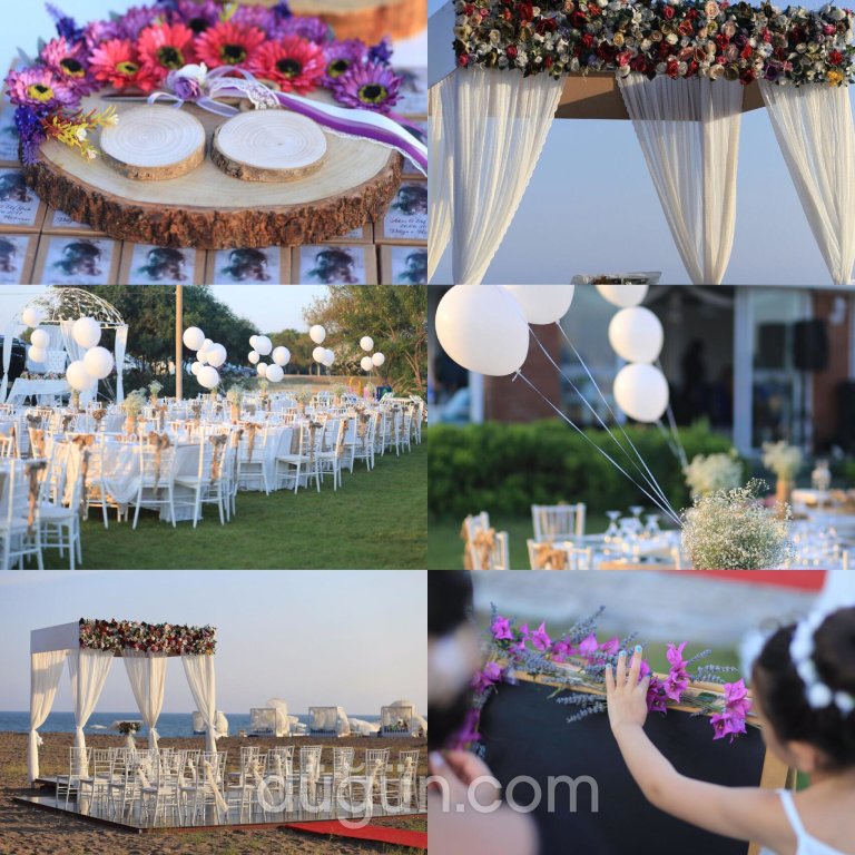 Zümrüt Organizasyon