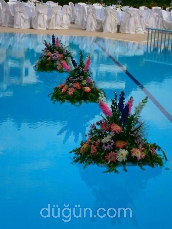 Star Çiçekçilik & Organizasyon