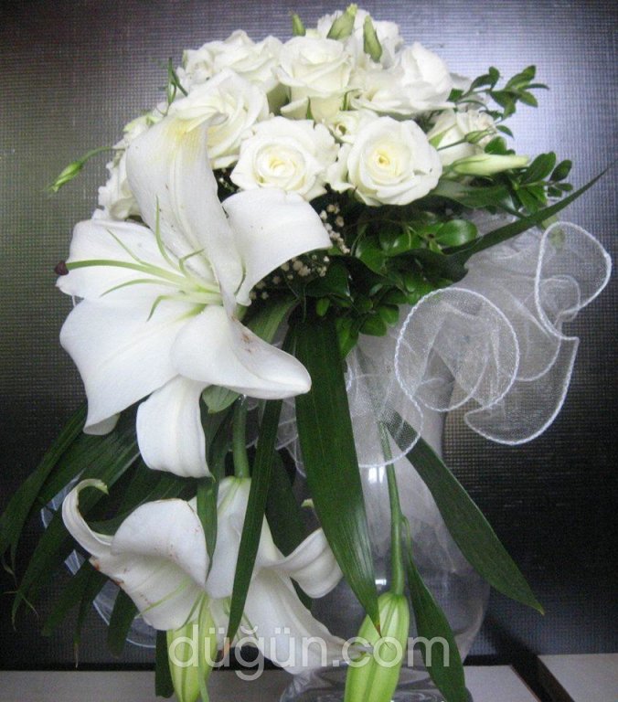 Açelya Çiçekçilik