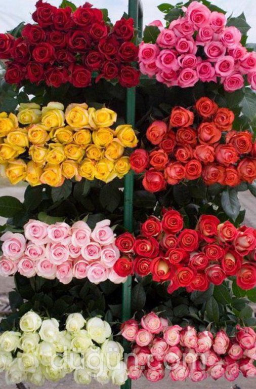 Songül Çiçekçilik