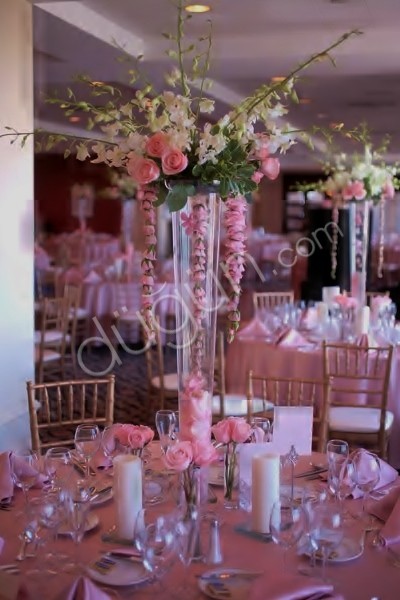 Alya Davet Organizasyon 1