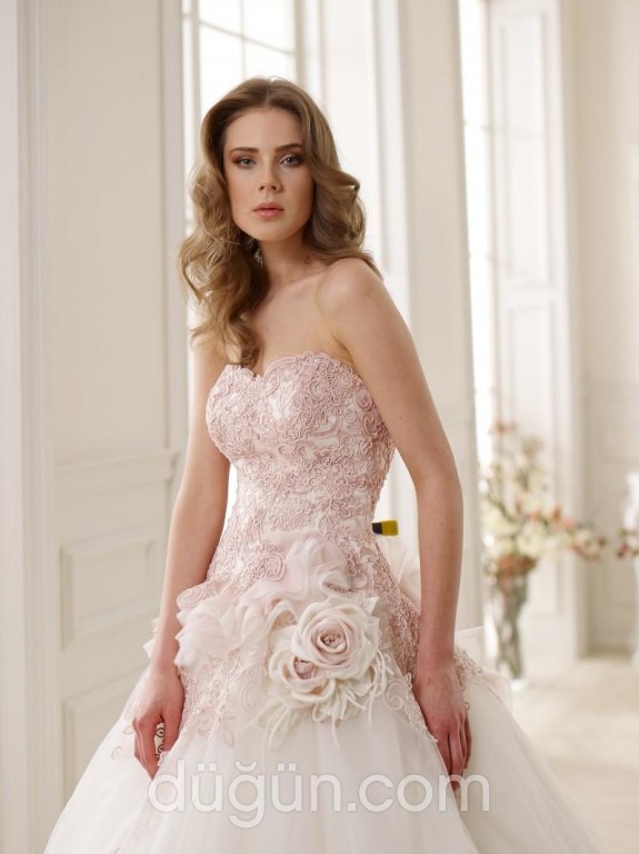 Arya Moda Evi