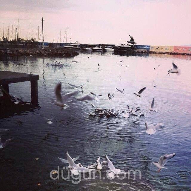 Taşmahal restaurant