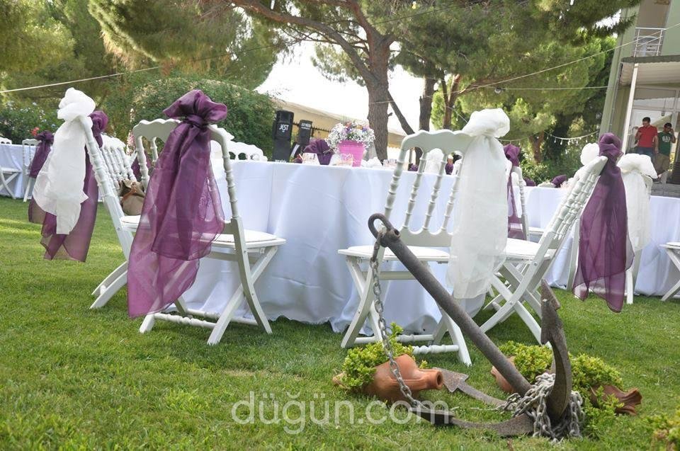 Festival Çiçekçilik