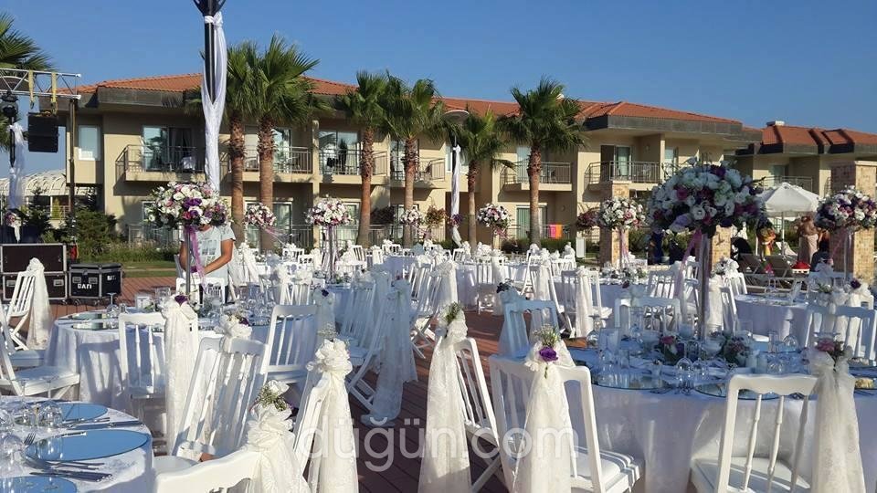 Festival Çiçekçilik