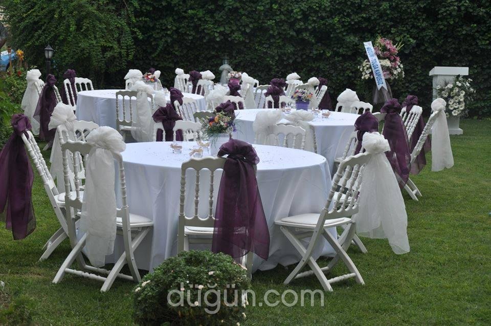 Festival Çiçekçilik