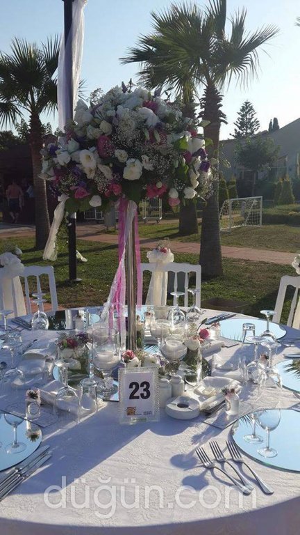 Festival Çiçekçilik