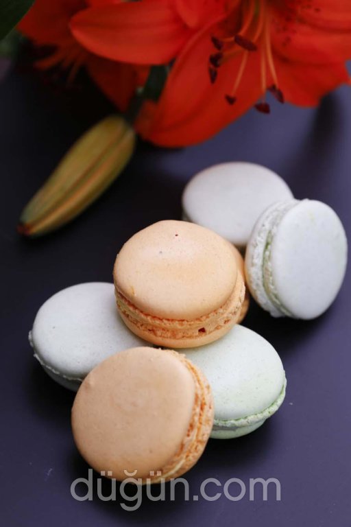 Macarons D'antoinette