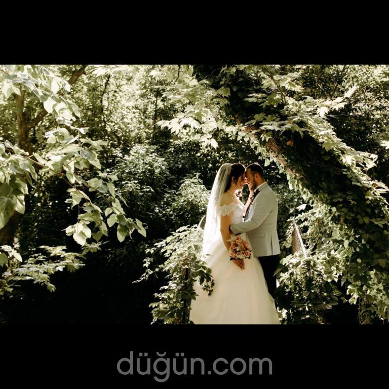 Saray Fotoğrafçılık