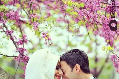 Beyaz Gelincik Photo