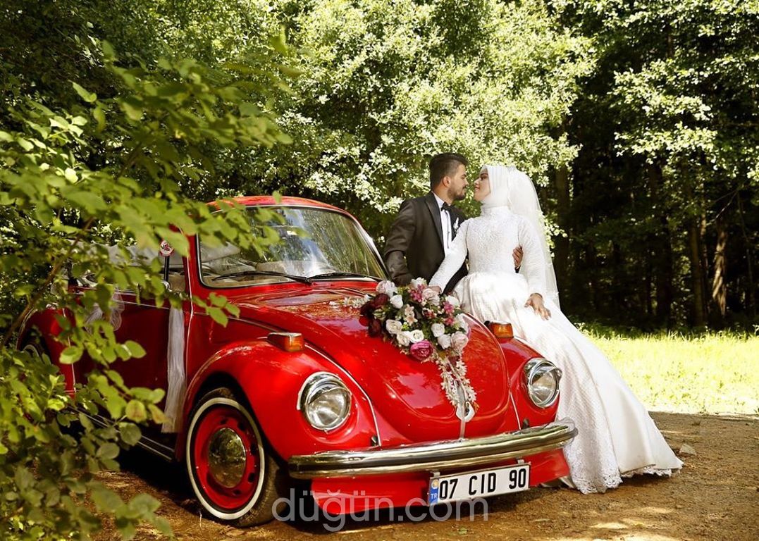 Vega Fotoğrafçılık