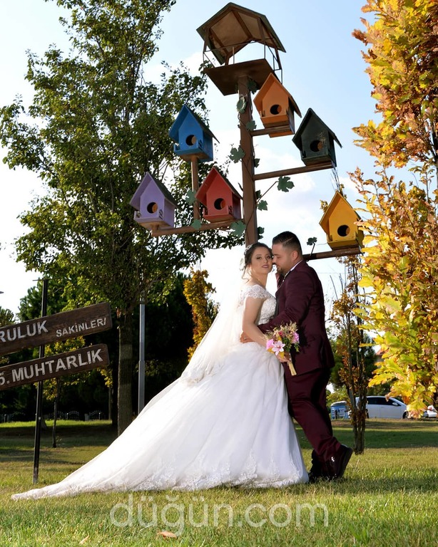 Vega Fotoğrafçılık