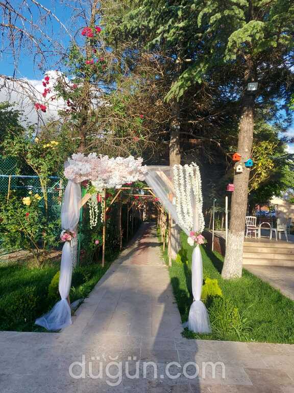 The Life Park