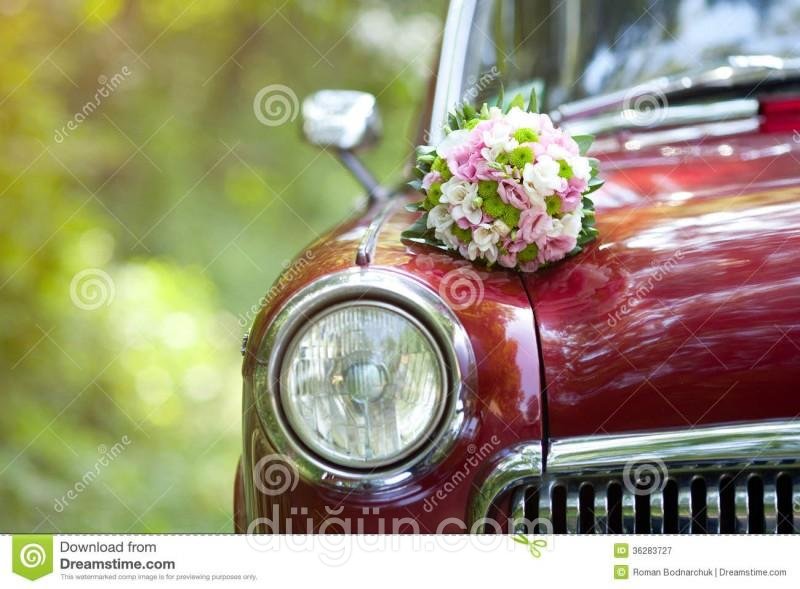 abracadabra D&H company