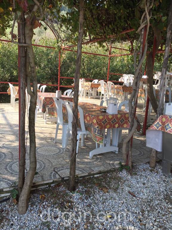 Alaş Kımız Çiftliği