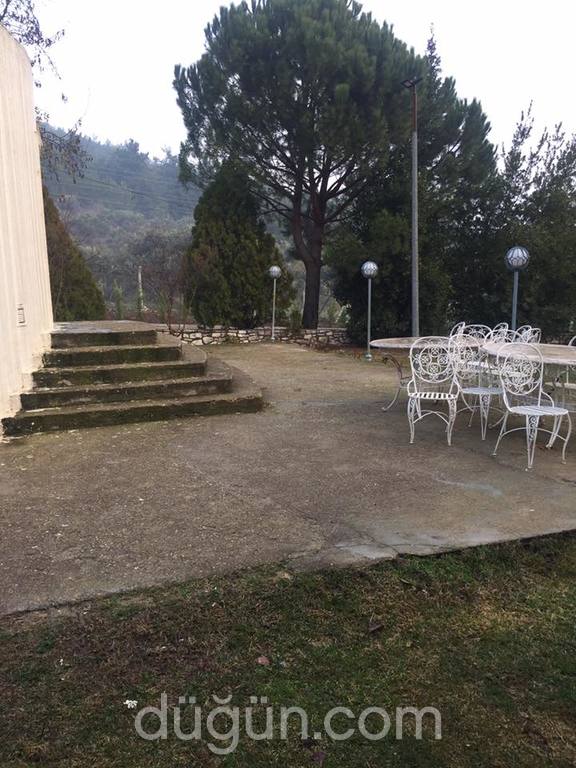 Alaş Kımız Çiftliği