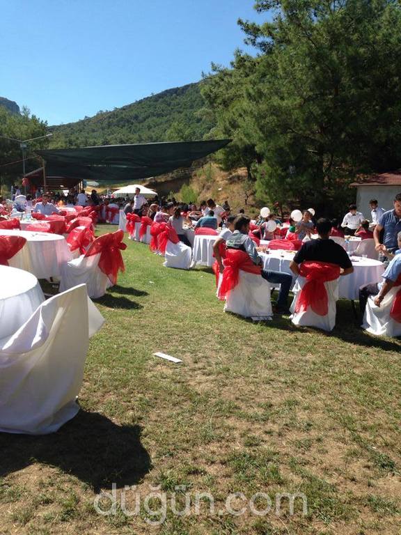 Alaş Kımız Çiftliği