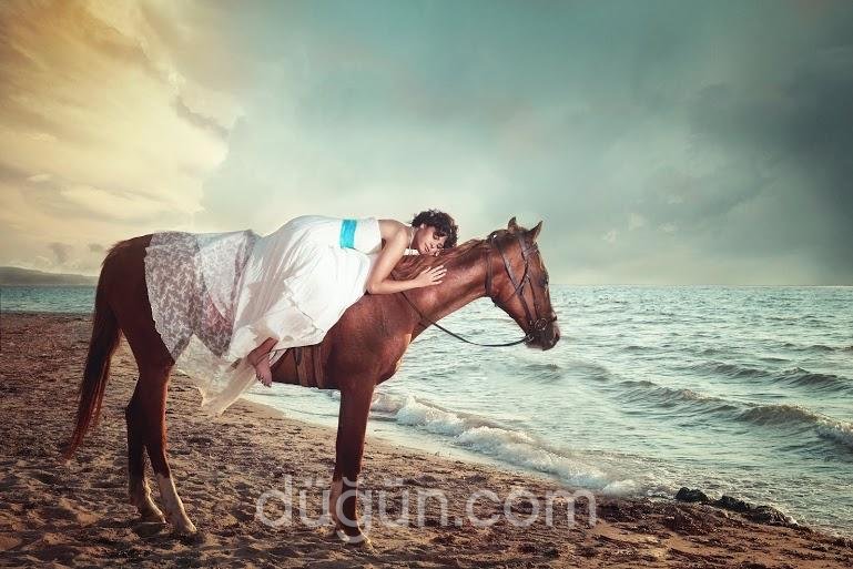 Onyedi Davet ve Organizasyon