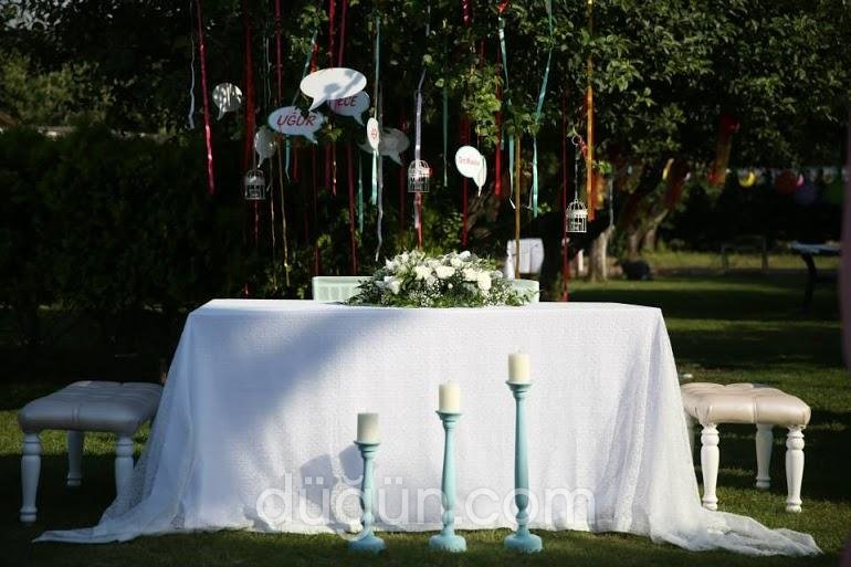 Onyedi Davet ve Organizasyon