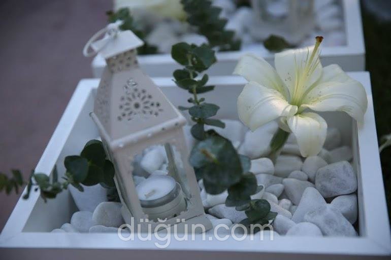 Onyedi Davet ve Organizasyon