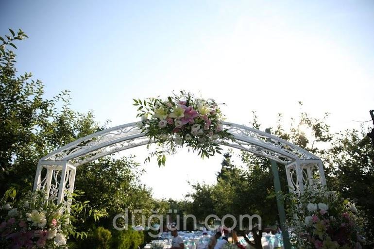 Onyedi Davet ve Organizasyon