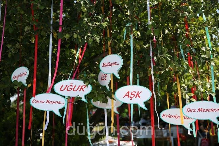 Onyedi Davet ve Organizasyon