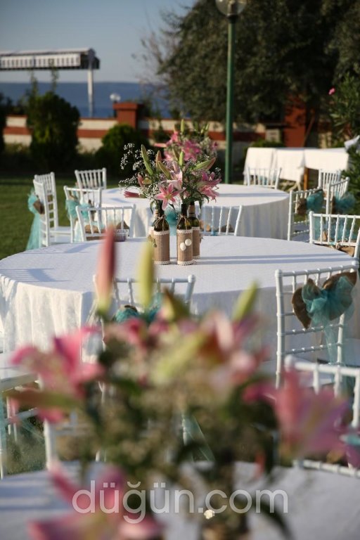 Onyedi Davet ve Organizasyon