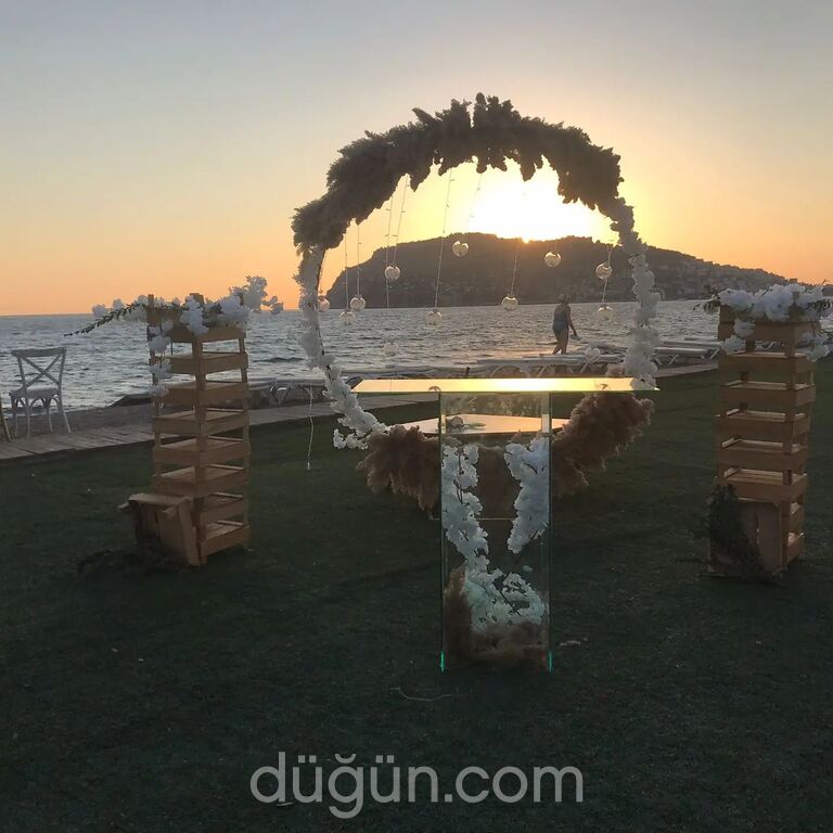 Masal Evi Organizasyon