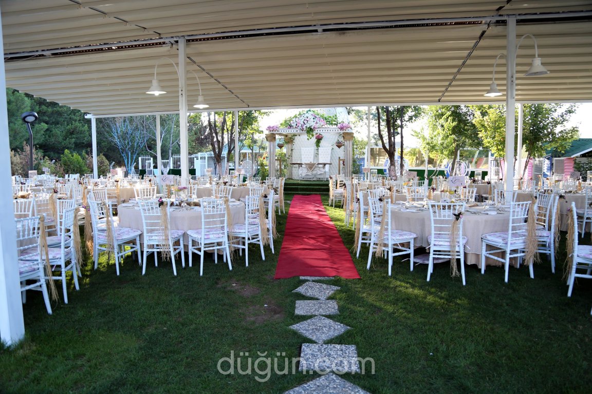 Risus Wedding - Kır Düğünü Ankara