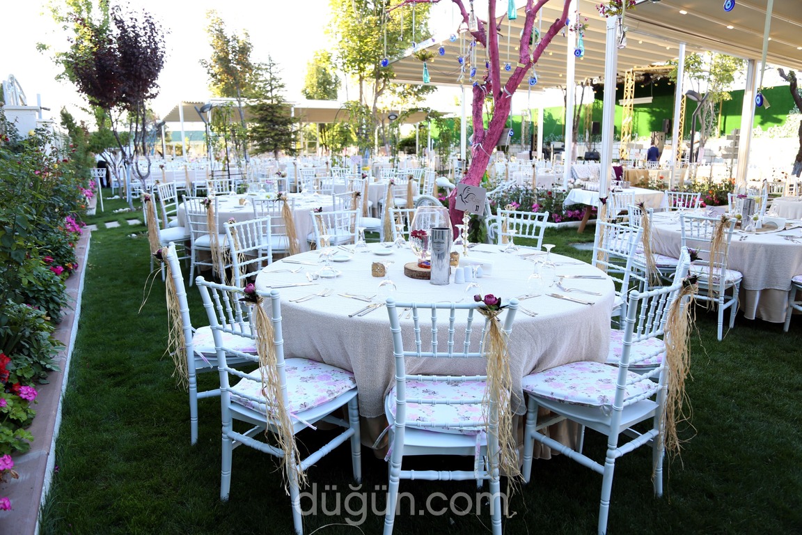 Risus Wedding Fiyatları - Kır Düğünü Ankara
