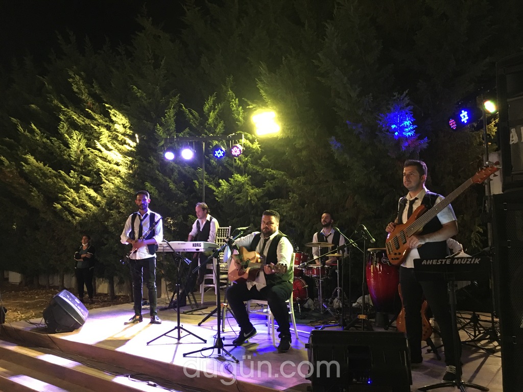 Aheste Müzik Organizasyon