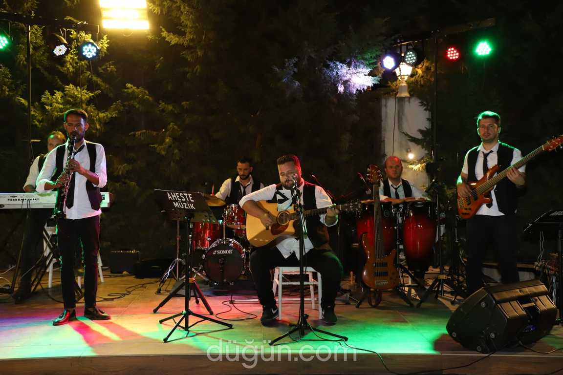 Aheste Müzik Organizasyon