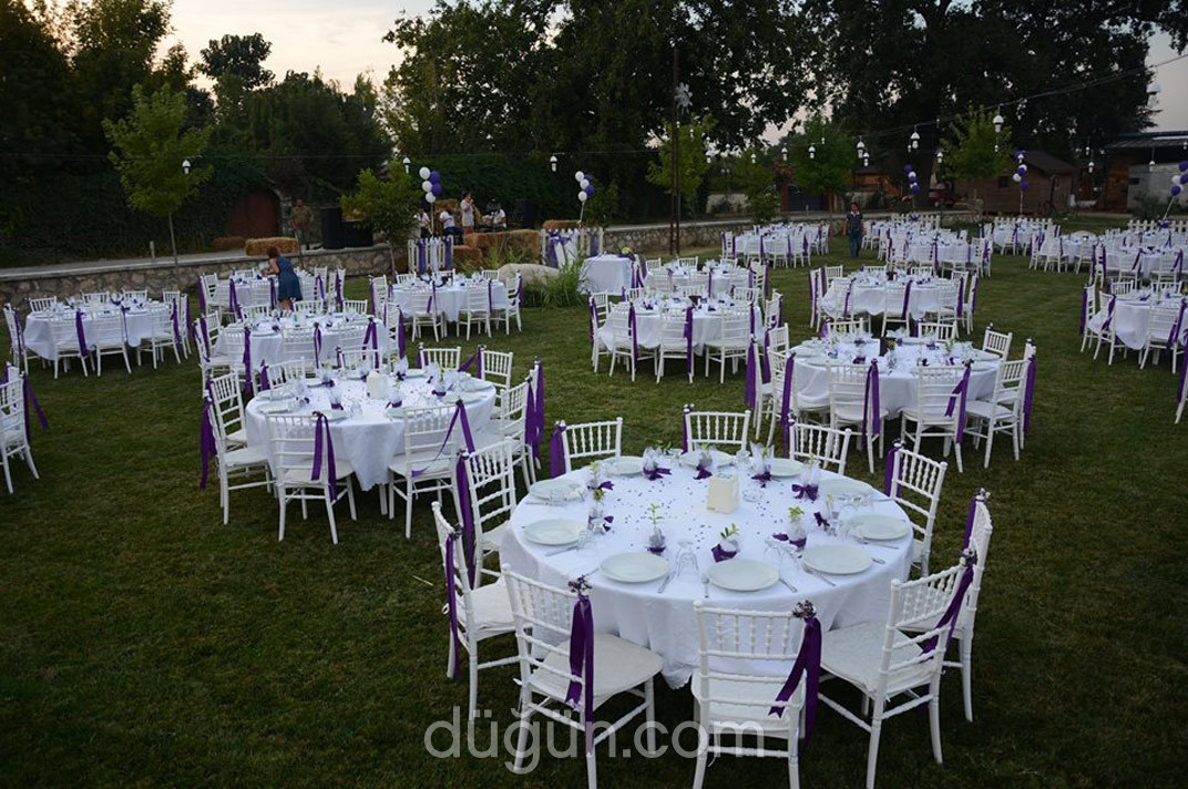 Haflinger Çiftliği