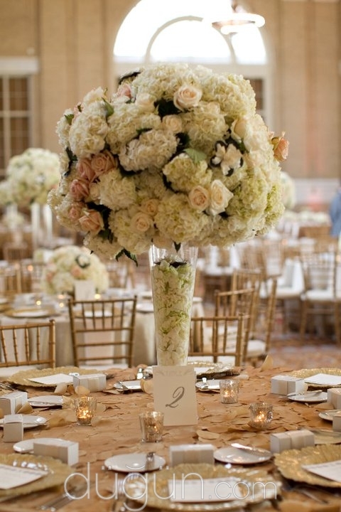 AdanZye  Organizasyon ve Danışmanlık