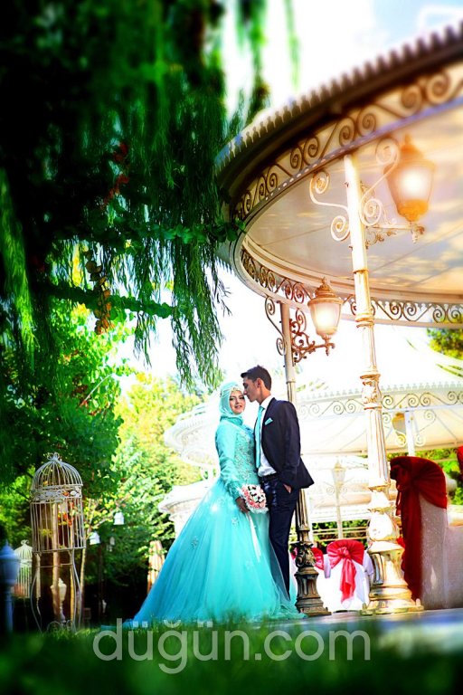 Mercan Fotoğrafçılık