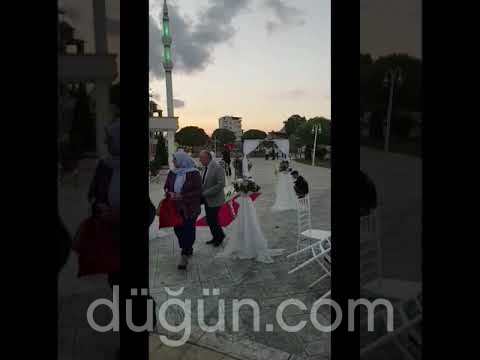 Gümüş Organizasyon