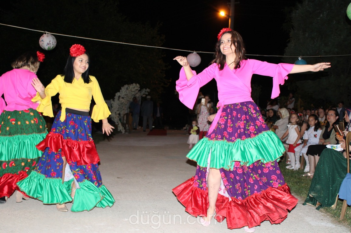 Gümüş Organizasyon