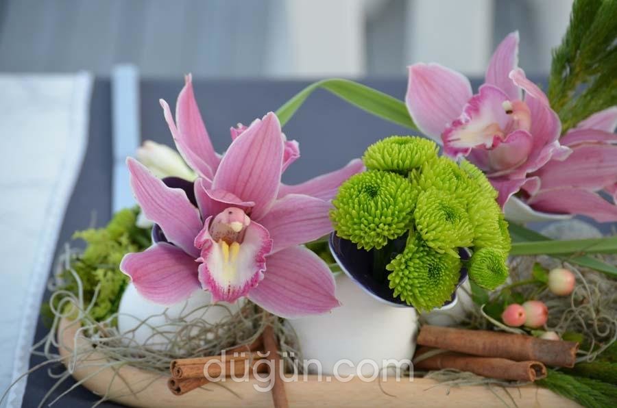 Nature Organizasyon Bodrum