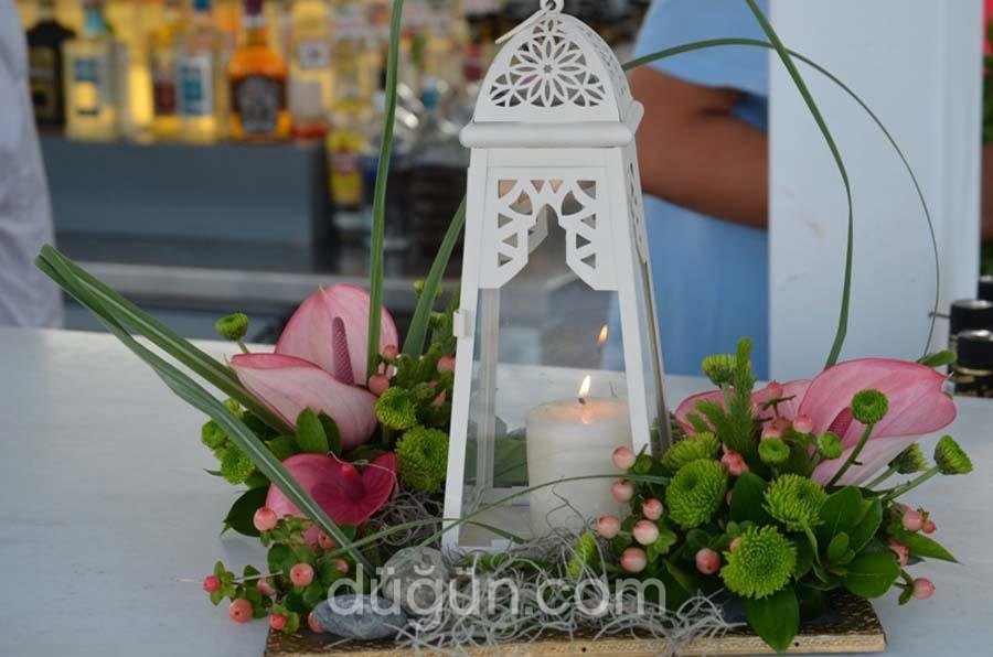 Nature Organizasyon Bodrum