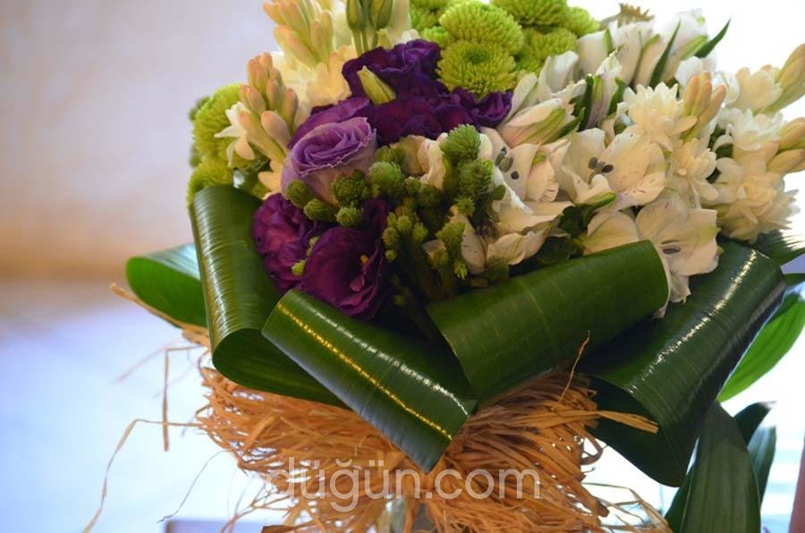 Nature Organizasyon Bodrum