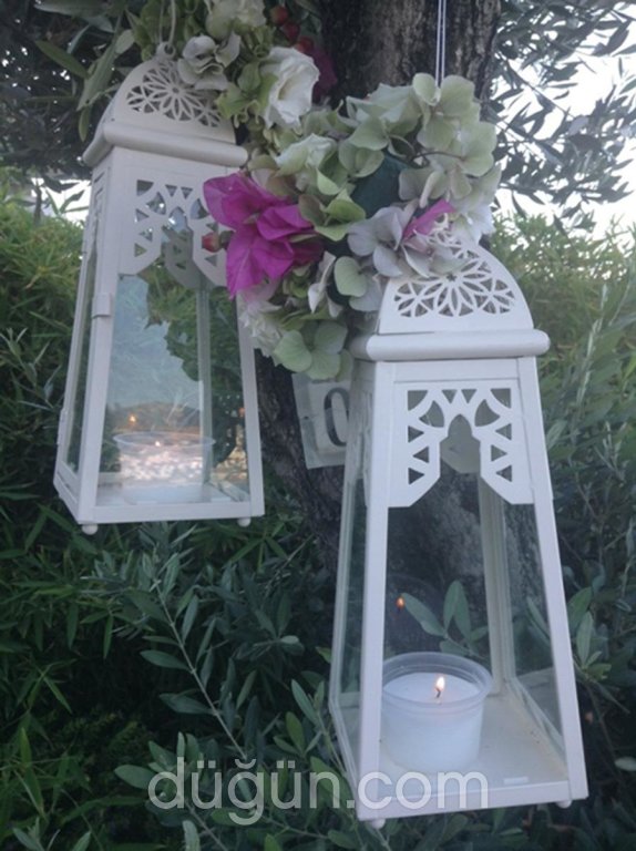 Nature Organizasyon Bodrum