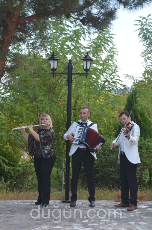 Atlantis Acoustic Band