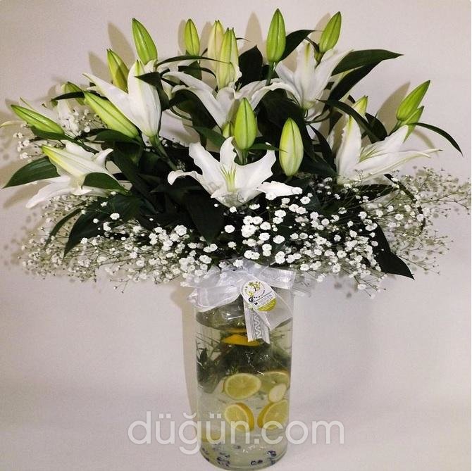 Dünya Çiçekçilik