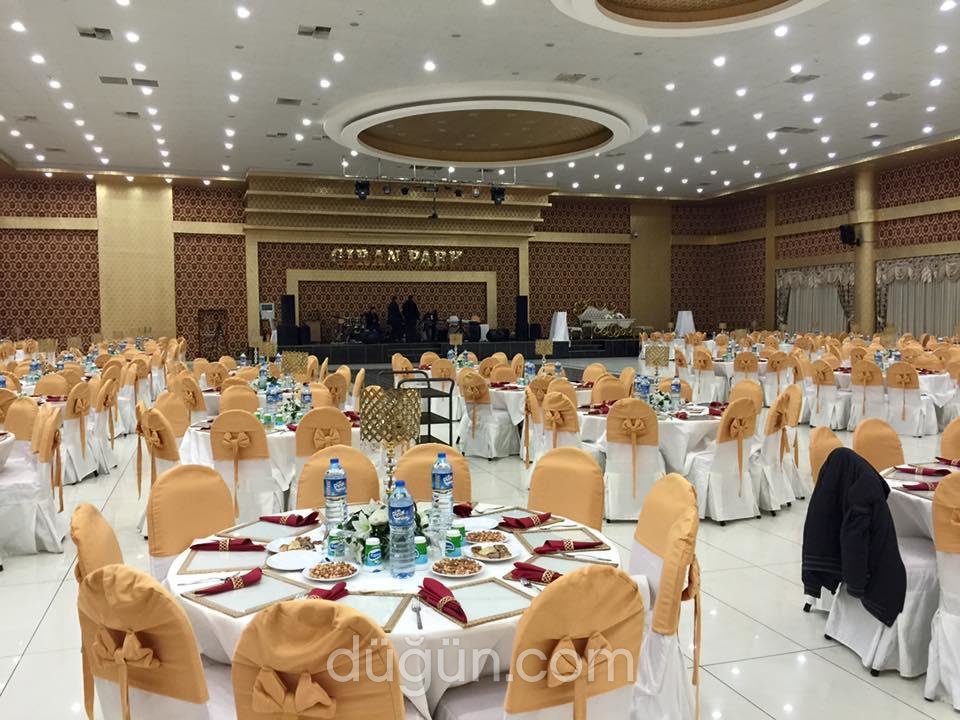 Sistem Organizasyon