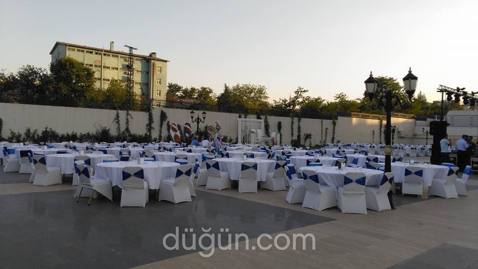 Sistem Organizasyon