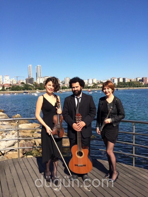 Play Sound Ses Işık Sistemleri