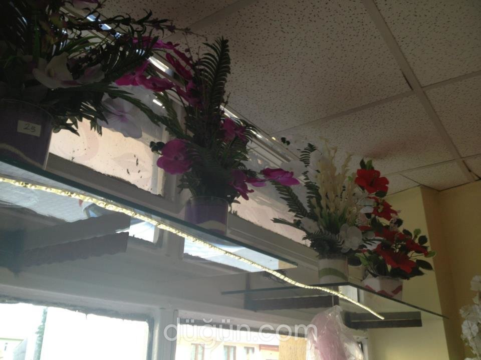 İnci Doğa Çiçekçilik