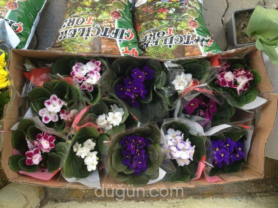 İnci Doğa Çiçekçilik