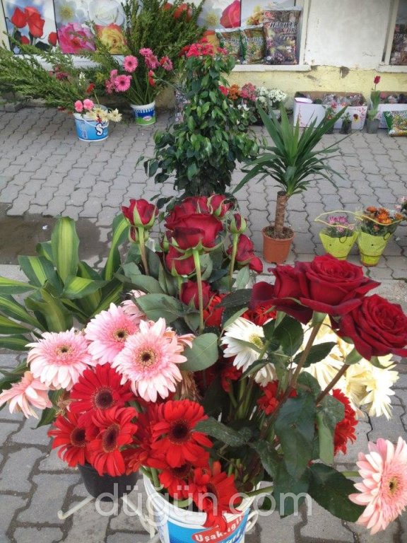 İnci Doğa Çiçekçilik