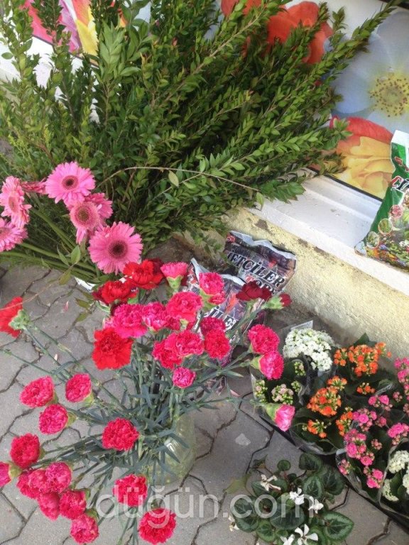 İnci Doğa Çiçekçilik